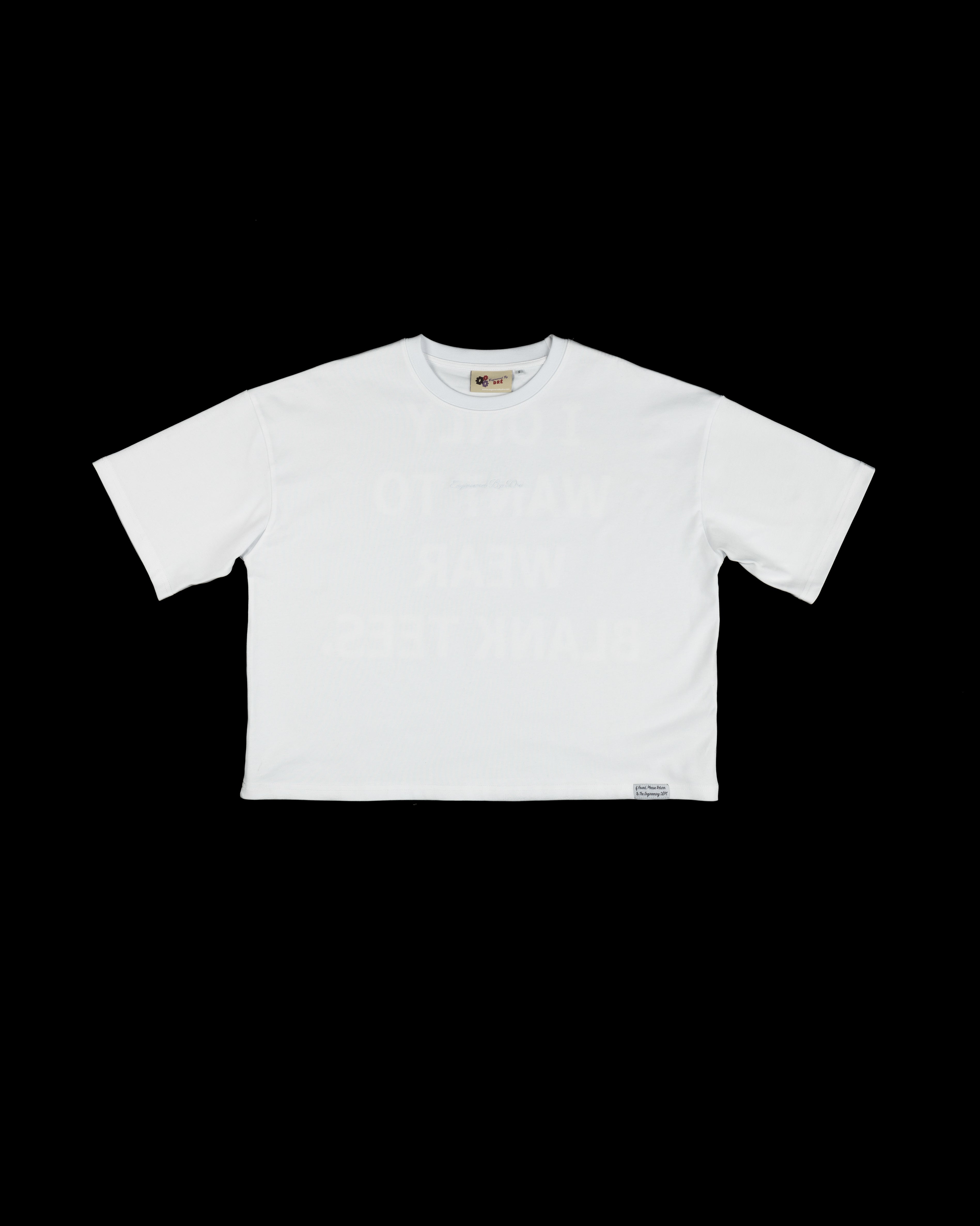 AIN'T SO BLANK TEE ( WHITE )