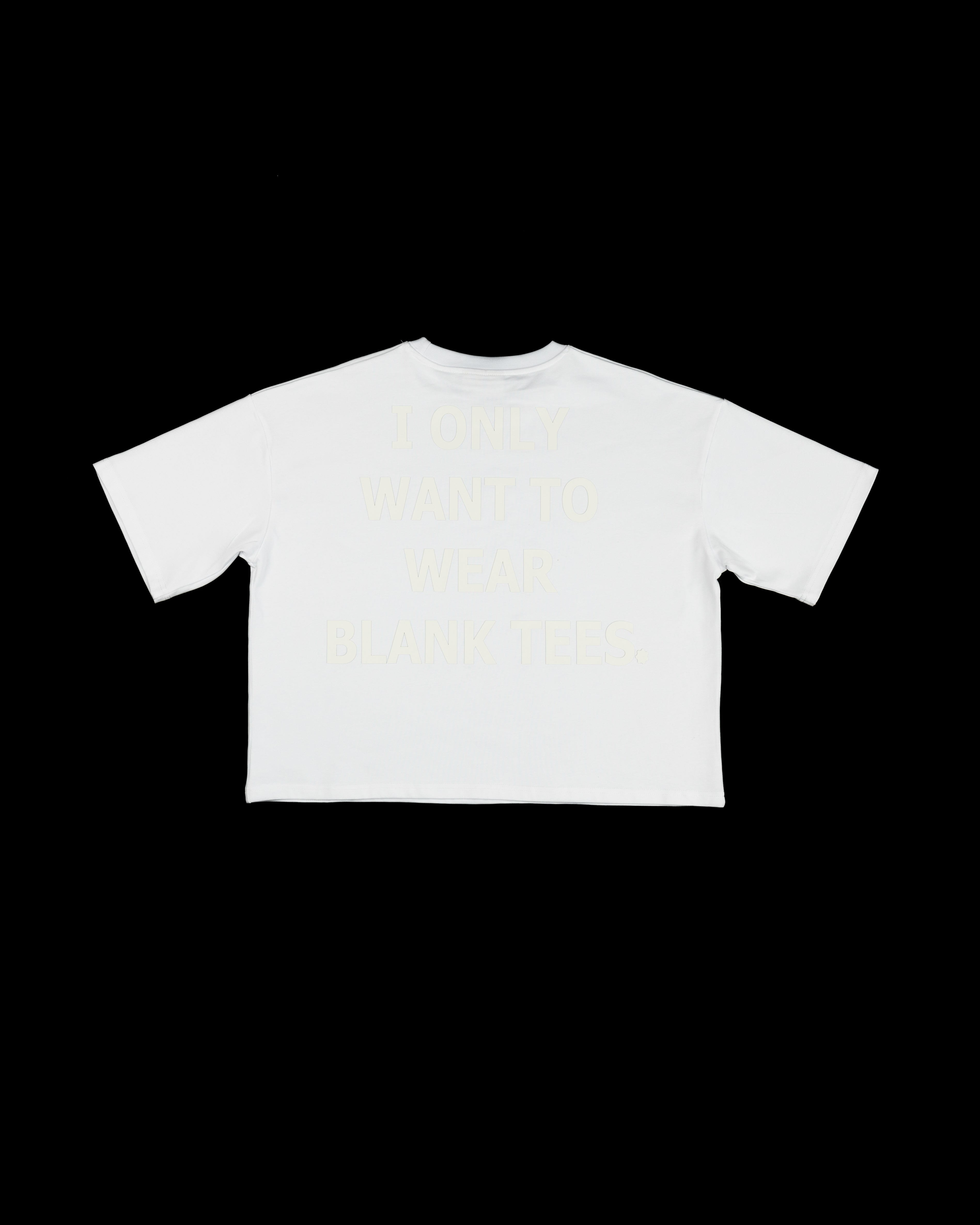 AIN'T SO BLANK TEE ( WHITE )