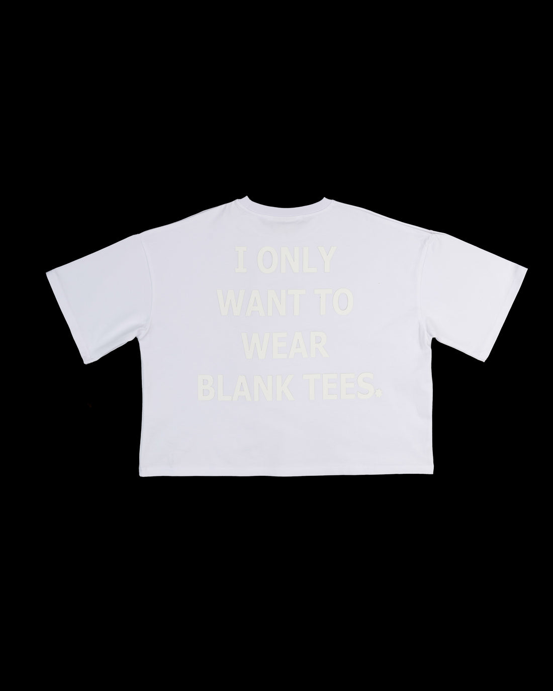 AIN'T SO BLANK TEE ( WHITE )